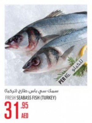 Fresh Seabass Fish (Turkey)