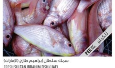 Fresh Sultan Ibrahim Fish (UAE)