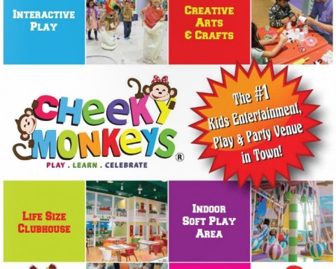 Cheeky Monkeys Kids Play & Party Venue