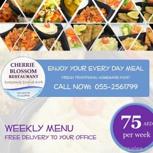 Fresh Traditional Homemade Food delivered to your office cherrie blossom