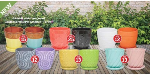 Assorted Garden Ceramic Pot Offer