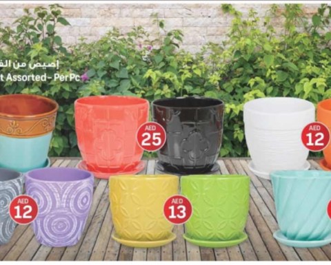 Assorted Garden Ceramic Pot Offer