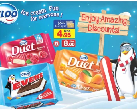 Igloo Ice Cream Amazing Discounts