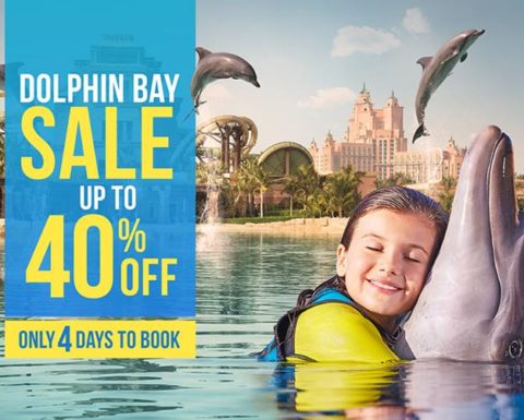 Dolphin Bay SALE