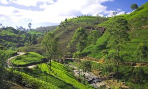 ✈ National Day Getaway: Sri Lanka with Tours and Flights