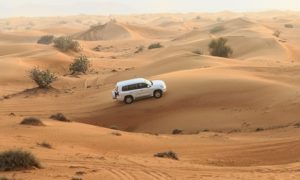 Desert Safari Experience