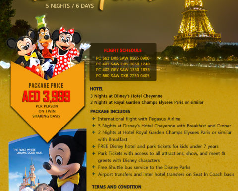 Paris Package Tour