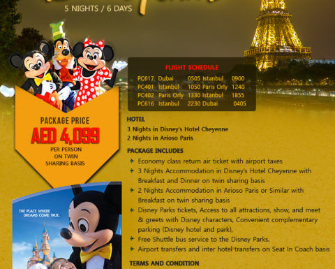 Disneyland Tour Package