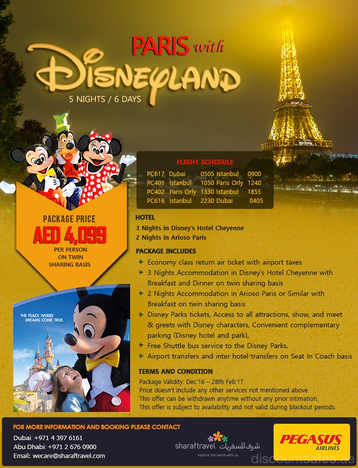 Disneyland Tour Package