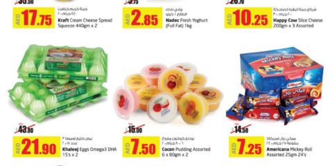 Dairy Products Big Saver Offer