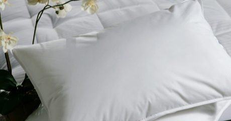 Pillow and Pillow Protectors