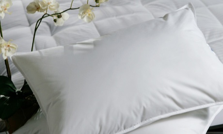 Pillow and Pillow Protectors