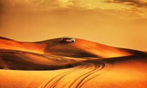 Desert Safari with Dune Bashing
