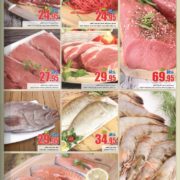 Seafoods Special Offer