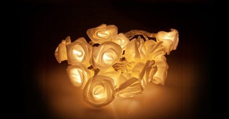 String of 20 LED Roses