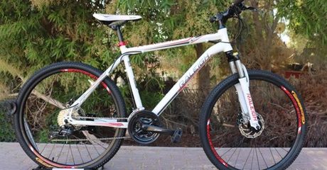 Adult City Cruiser Bicycle