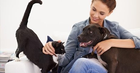 Animal Care Online Course