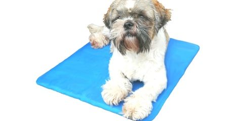 Cooling Mat for Pets