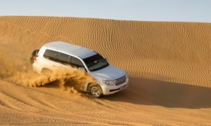 Desert Safari with Dune Bashing: Child (AED 59) or Adult (AED 89)