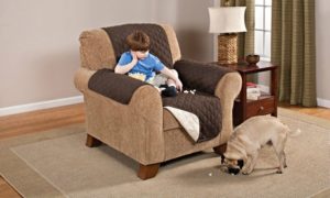 Furniture Protector for Pets
