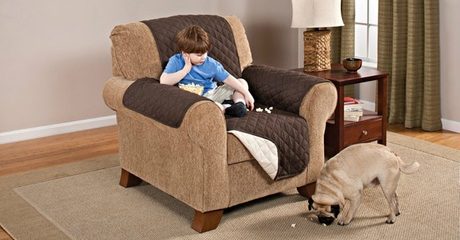 Furniture Protector for Pets