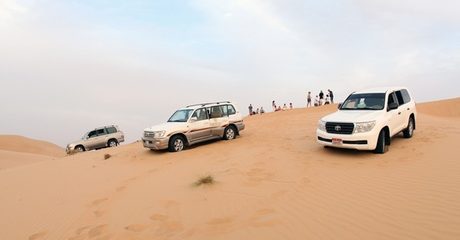 Half-Day Desert Safari