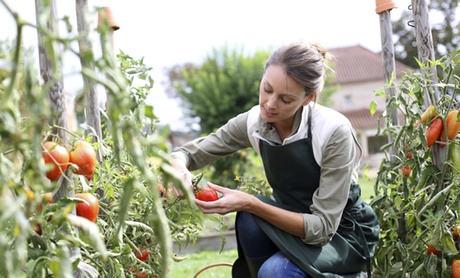 Landscape Design Online Course