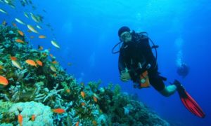 Scuba Try-Dive off Kite Beach