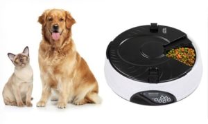 Six-Meal Automatic Pet Feeder