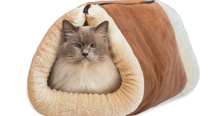 Two-in-One Pet Fleece Bed and Mat