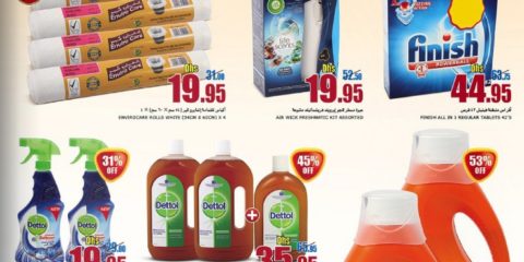 Assorted Cleaners & Detergents