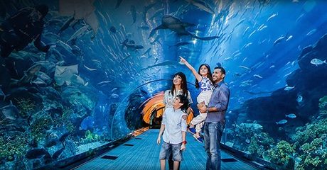 Underwater Zoo Entry & Dubai Tour