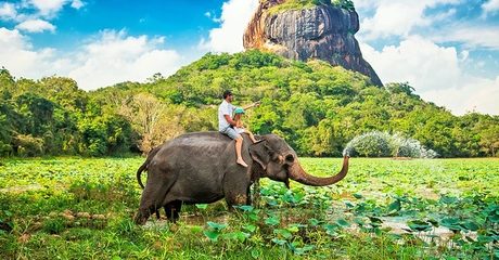 ✈ 4* Sri Lanka Stay with Tours and Transfers