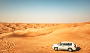 Desert Safari with Dune Bashing