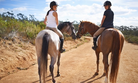 Horse Riding Lesson