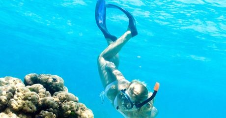 Snorkelling Experience