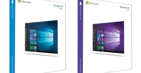 Windows 10 Home or Pro