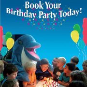 Dubai Dolphinarium Birthday Package Offer