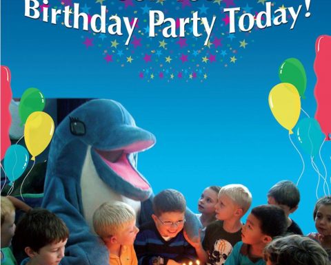 Dubai Dolphinarium Birthday Package Offer