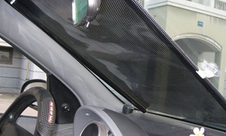 Pair of Auto Roll-Up Car Shades