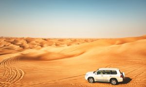 VIP Desert Safari in a 4x4