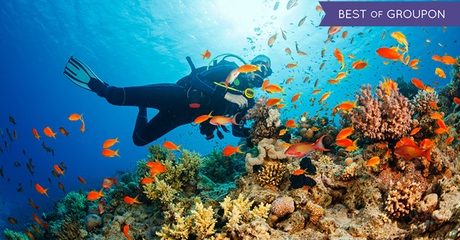 Introductory Scuba Diving Session