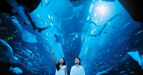 Dubai Aquarium Tickets for Two