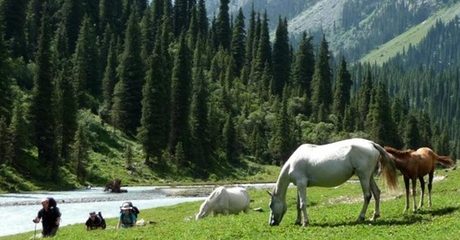 ✈ Kyrgyzstan:Eid Stay 3-Night 4* Stay with Tours and Flights