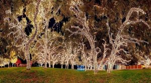 100-Solar LED 17m Lights String