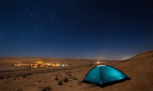 Al Aweer: Desert Safari with Dinner and Optional Camp Stay