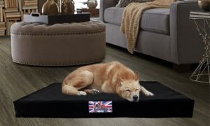 Bulldog Orthopaedic Pet Beds