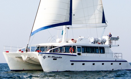 Four-Hour Catamaran Cruise