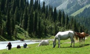 ✈ Kyrgyzstan: National Day 3-Night 4* Stay with Flights