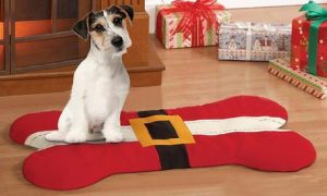 Christmas Pet Bed